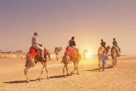Hurghada: Sea & Desert Camel Ride w/Dinner, Show, Stargazing