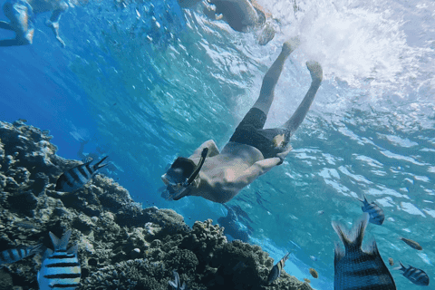 Premium Cruise To Giftun Island with Lunch & Transfer