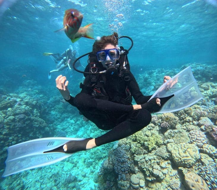 Intro Diving Beginner and Discover Red Sea Underwater