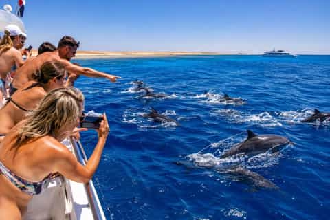 Marsa Alam: Dolphin House Snorkeling Cruise Lunch & Transfer