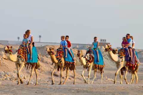 Hurghada: Camel Ride, Blue Lagoon, BBQ, and Stargazing