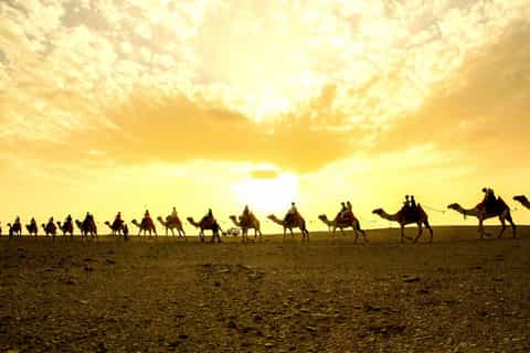 Hurghada: Oasis sunset with Camel Ride & stars