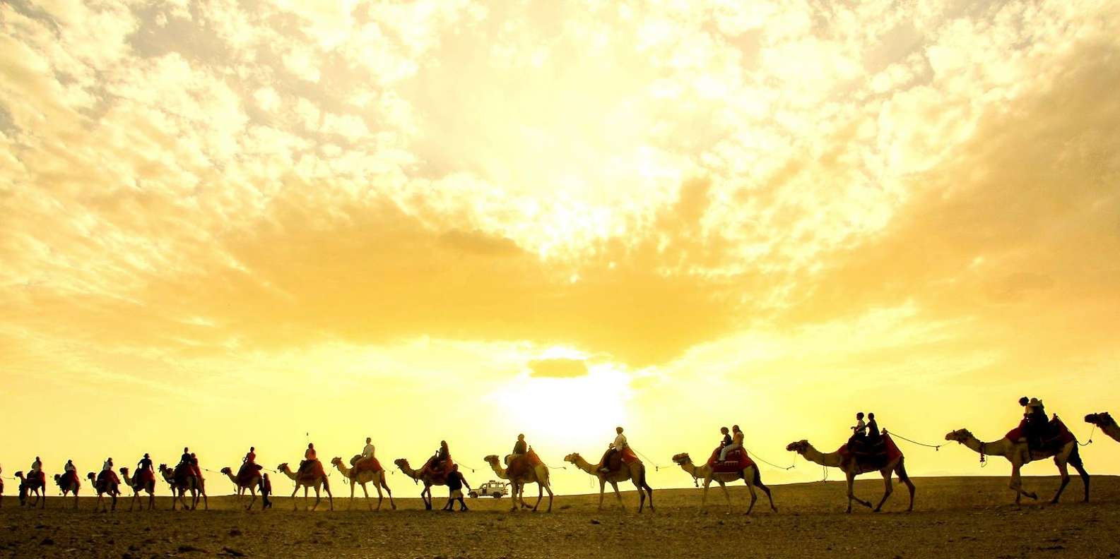Hurghada: Oasis sunset with Camel Ride & stars
