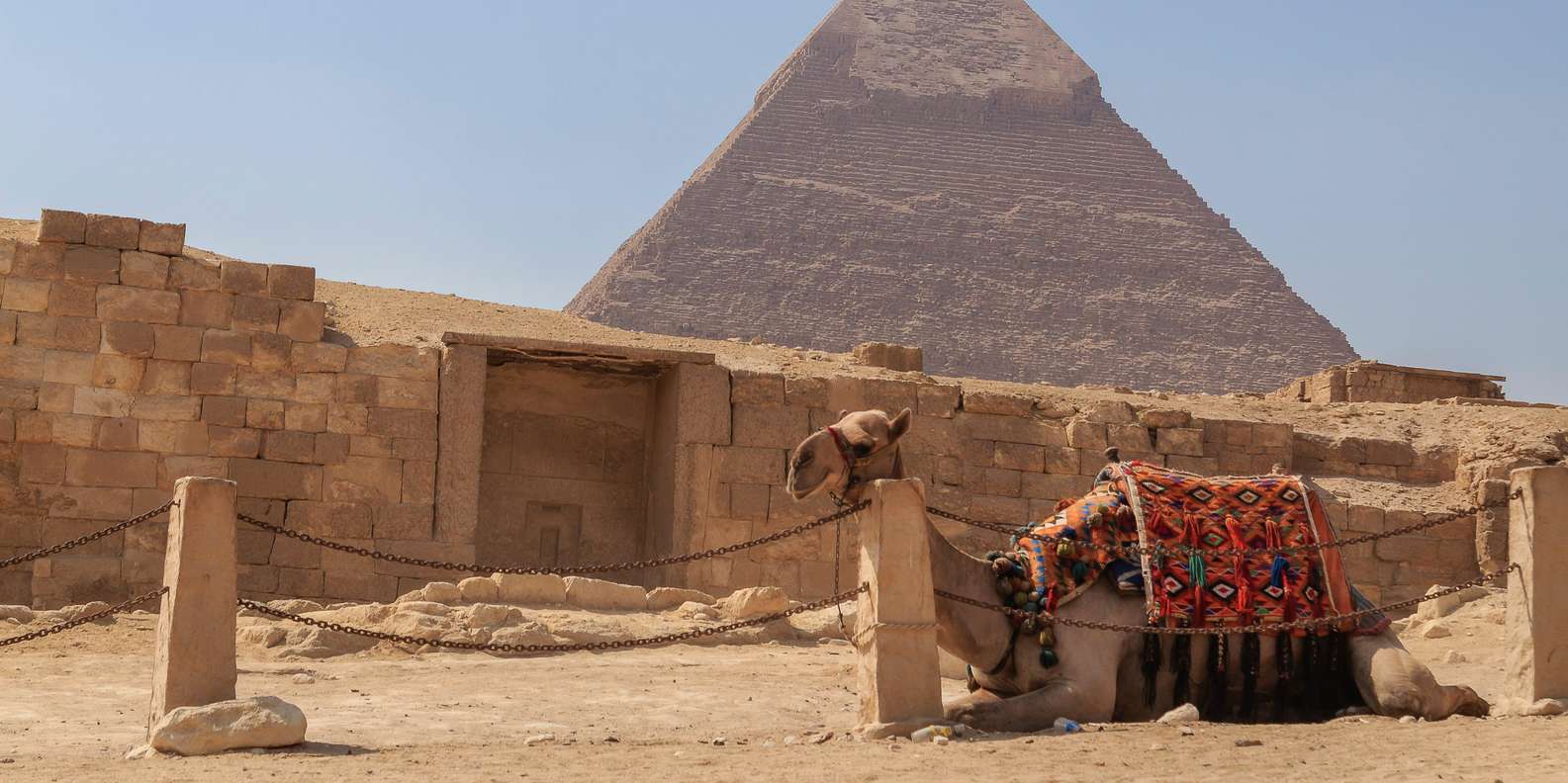 From Port Said : Giza Pyramids & National Museum