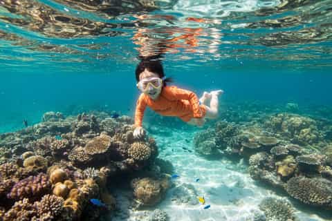 Sharm: Ras Mohammed Snorkeling, Magic Lake & Stone Gate Tour