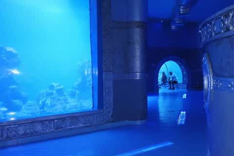 Entry Ticket: Grand Aquarium Hurgada