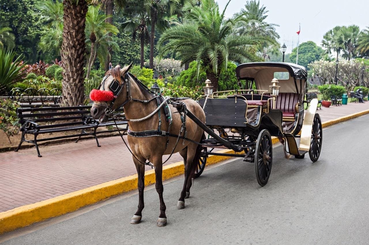 4-Hour Walking and Horse Carriage City Tour of Cairo