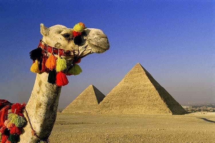 Private Tour to Giza Pyramids, Sphinx, Coptic Cairo and Islamic Cairo