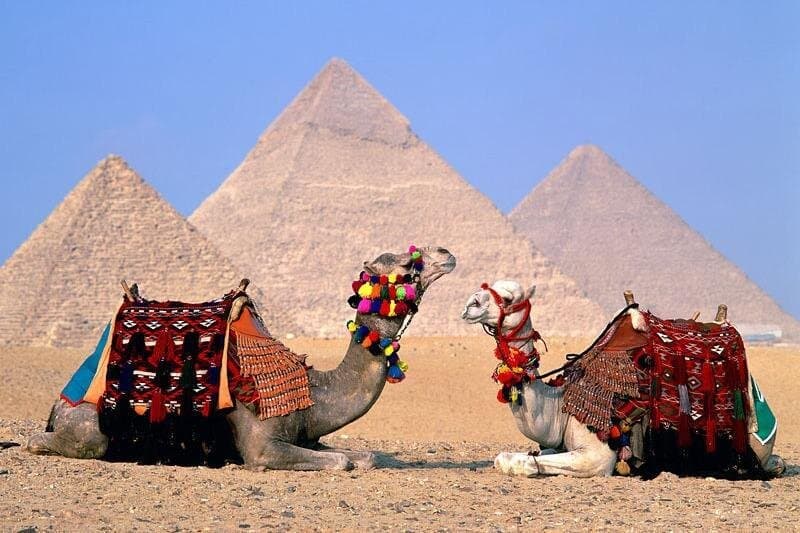 Private Full Day Tour Giza Pyramids Sphinx Saqqara and Memphis including Lunch