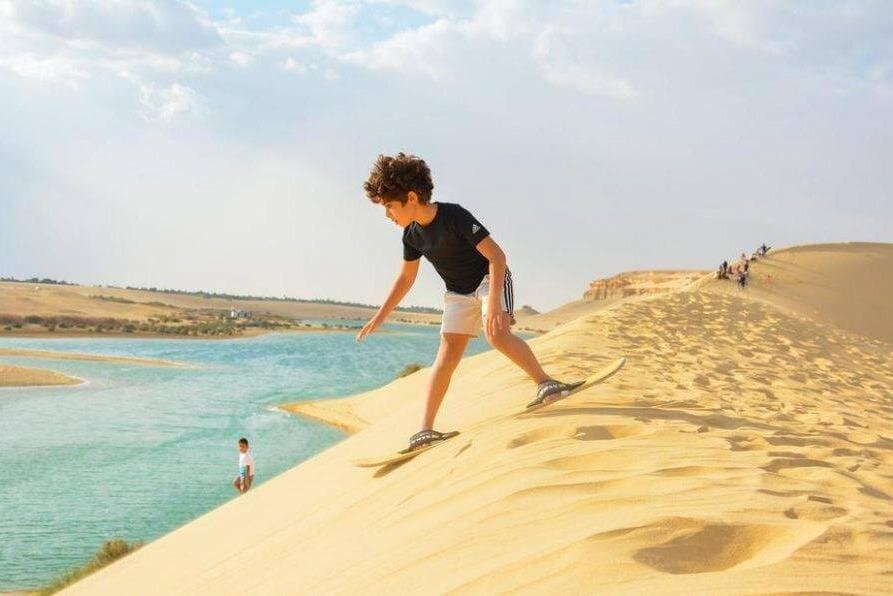 Day Trip to Valley of Whales from Cairo - Wadi El Hitan