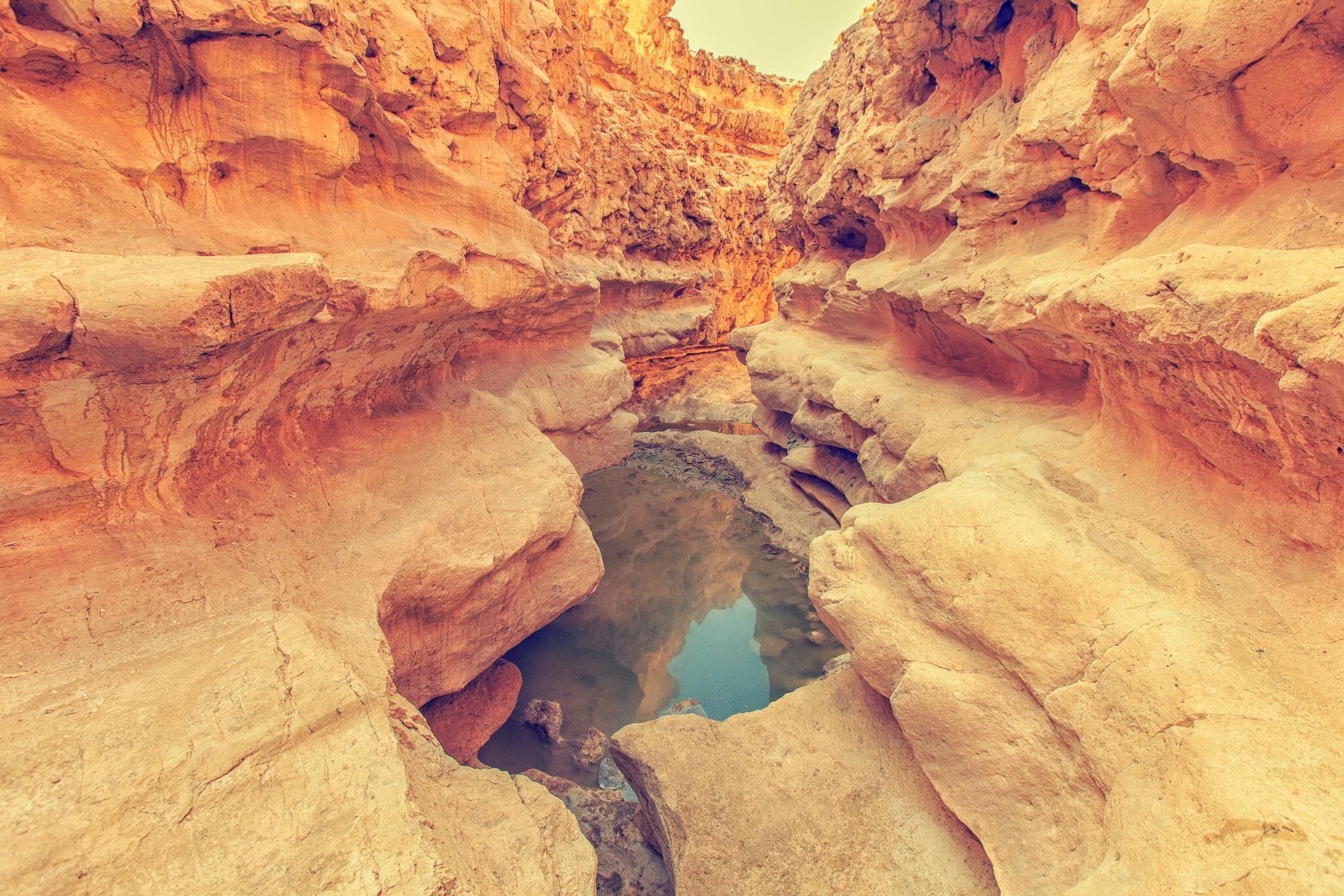 Day Tour to Wadi Degla Protectorate in Cairo