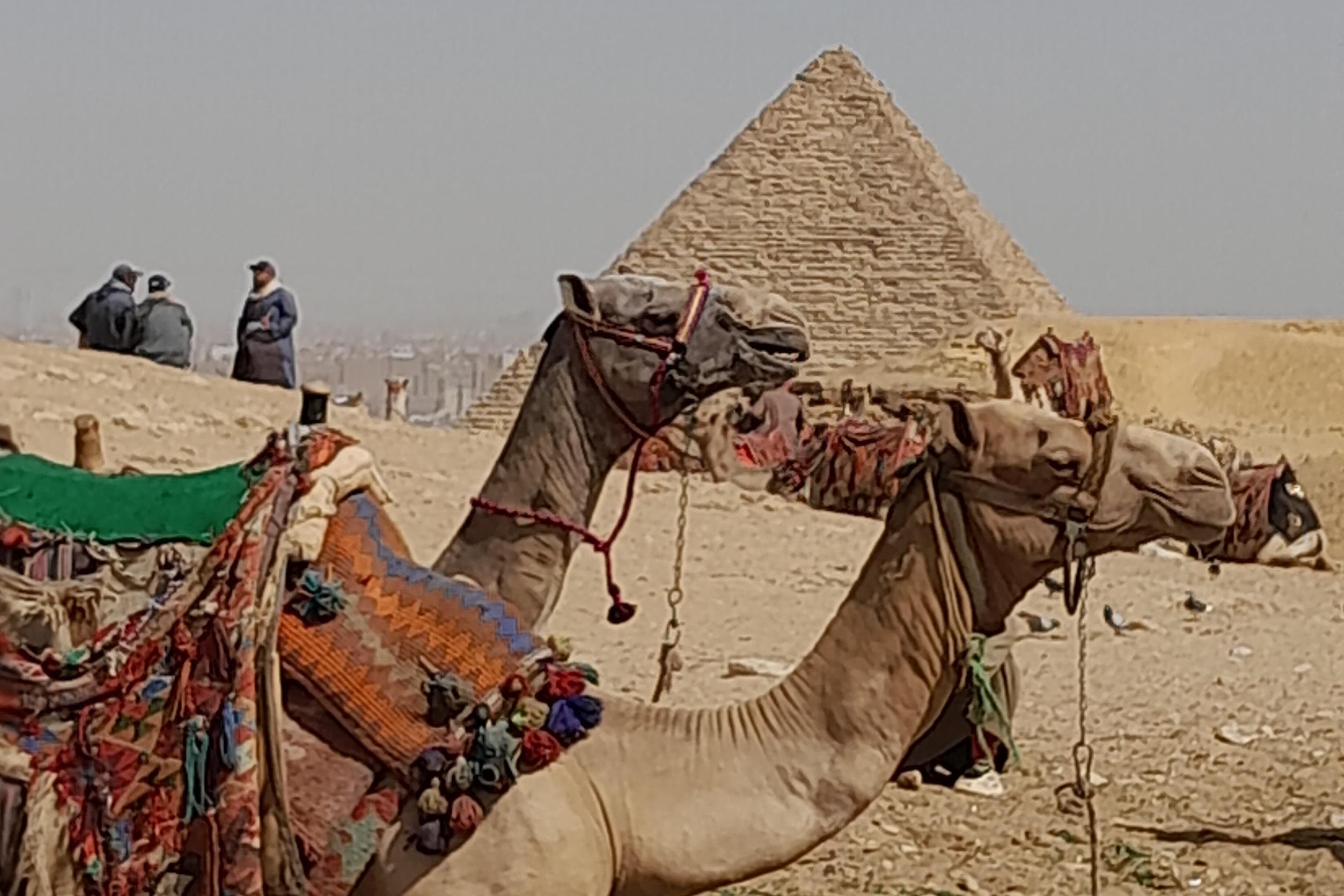 Full-Day Grand Egyptian Museum Tour, Giza Pyramids, , and Saqqara