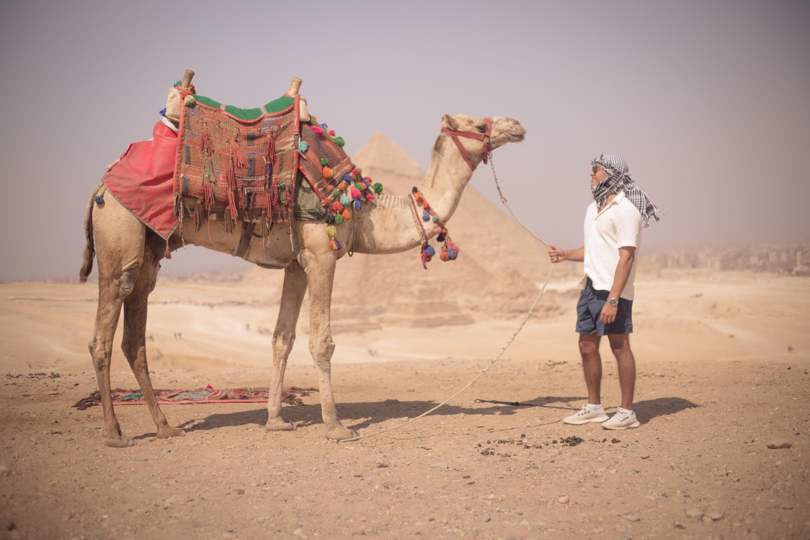 Tour Giza Pyramids and Saqqara And Memphis and Dahshur Pyramids