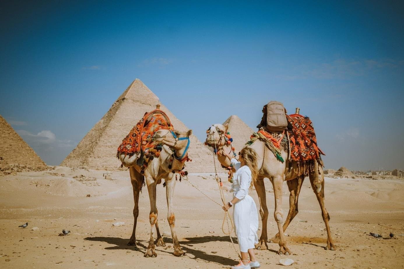 Cairo Stopover-day tour from Cairo airport Visiting Giza Pyramids