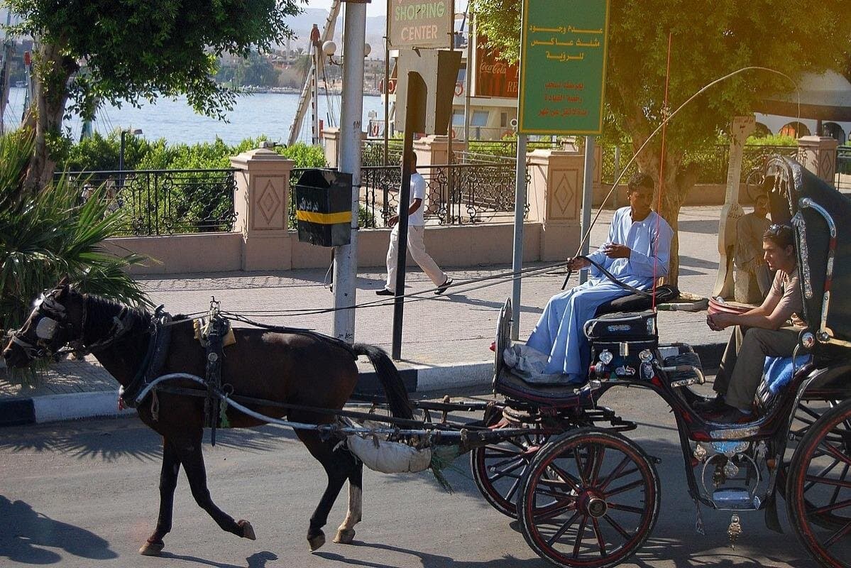 Aswan City Private Tour By Horse Carriage