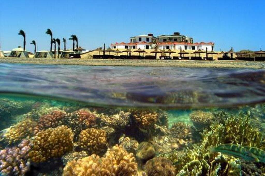 Coral Garden