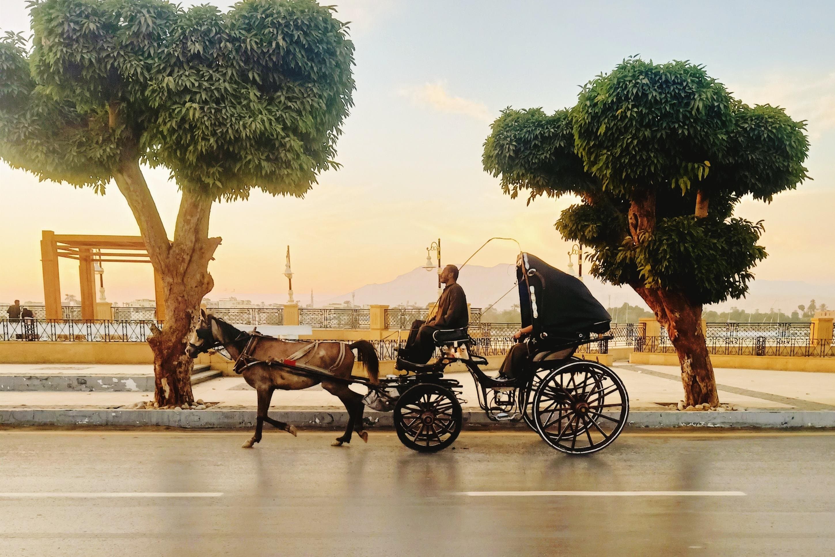 Discover Luxor City Tour by Horse Carriage
