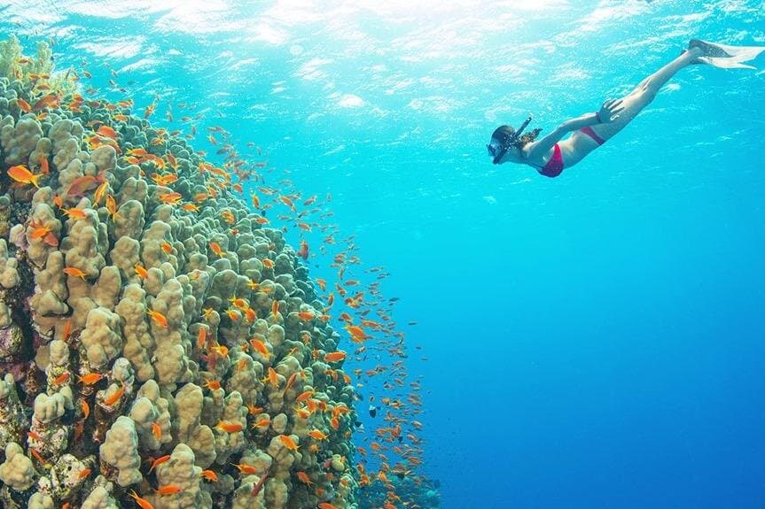 Ras Mohamed & White Island luxury Yacht Trip Sharm el Sheikh