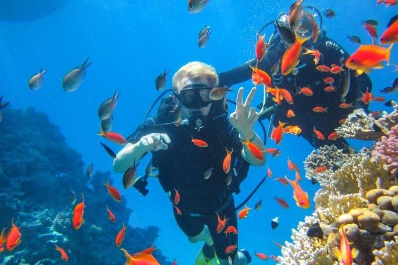 Snorkeling at Ras Mohamed in Sharm El Sheikh