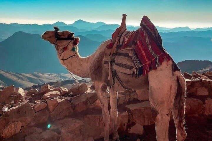 Mount Sinai & St Catherine Monastery from Sharm El Sheikh