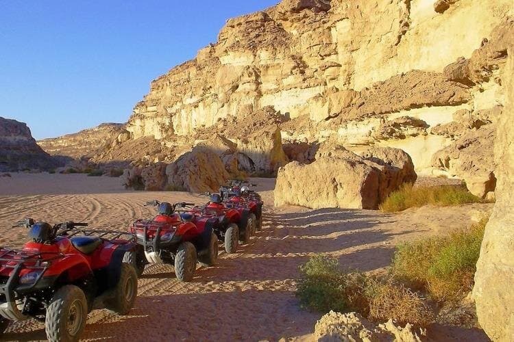 Bedouins trip in sharm Safari quad pick Camel Dinner_Stargazing
