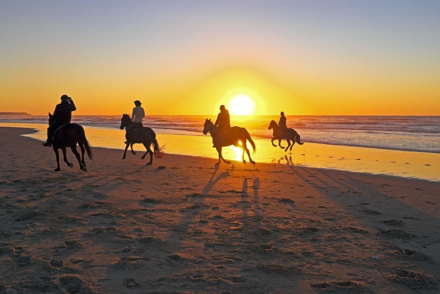 2 Hour Horse Riding in Hurghada
