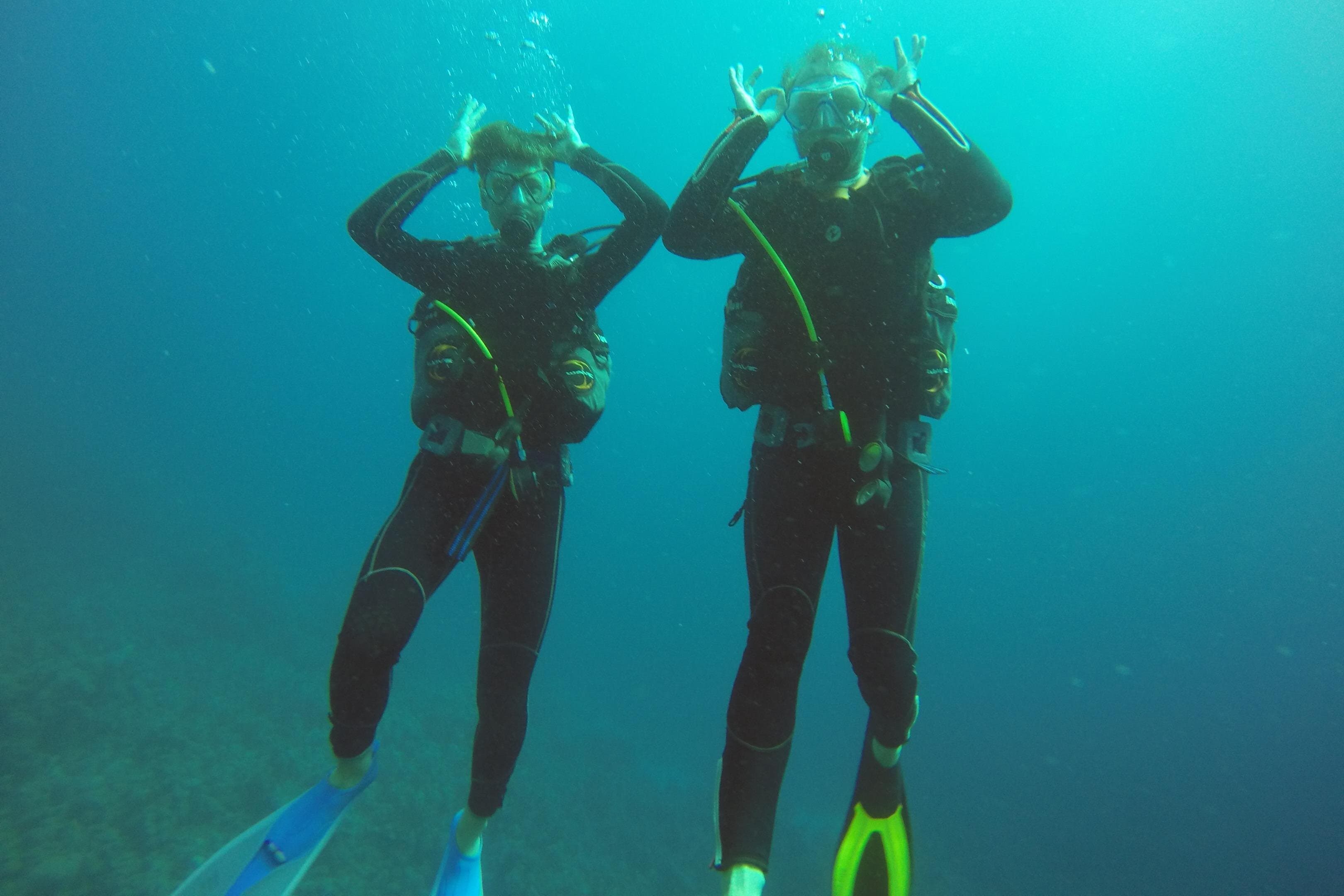 Scuba Diving 2 Dives from the Boat