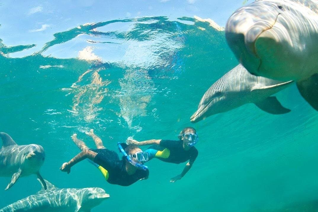 Private Red Sea Snorkeling Adventure with Lunch & Hotel Pickup