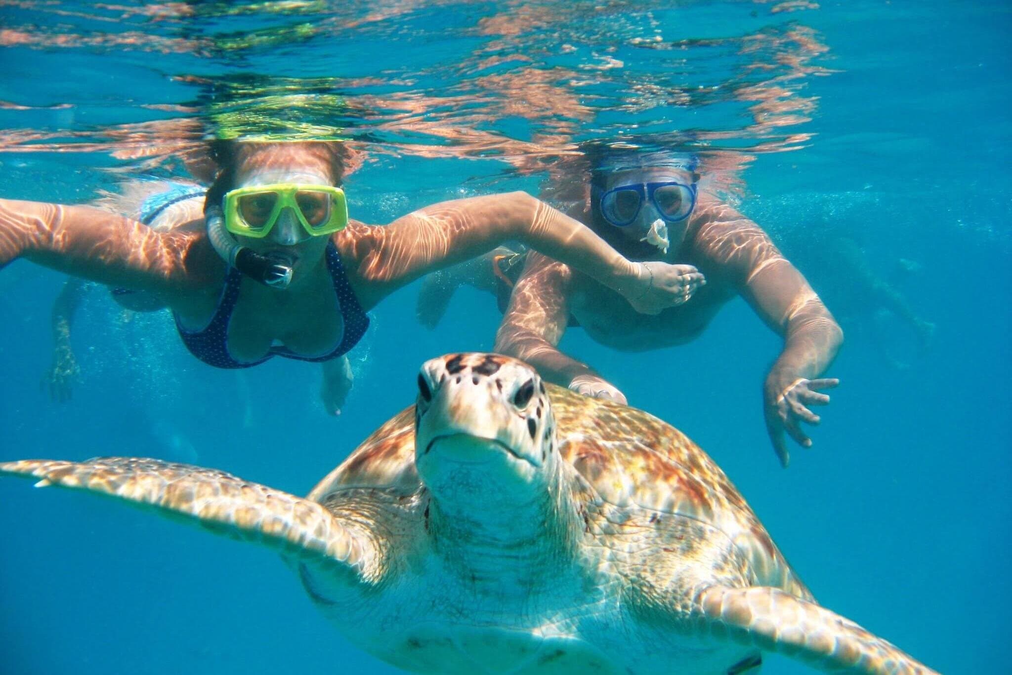 Red Sea Catamaran Adventure White Island & Ras Mohamed Tour