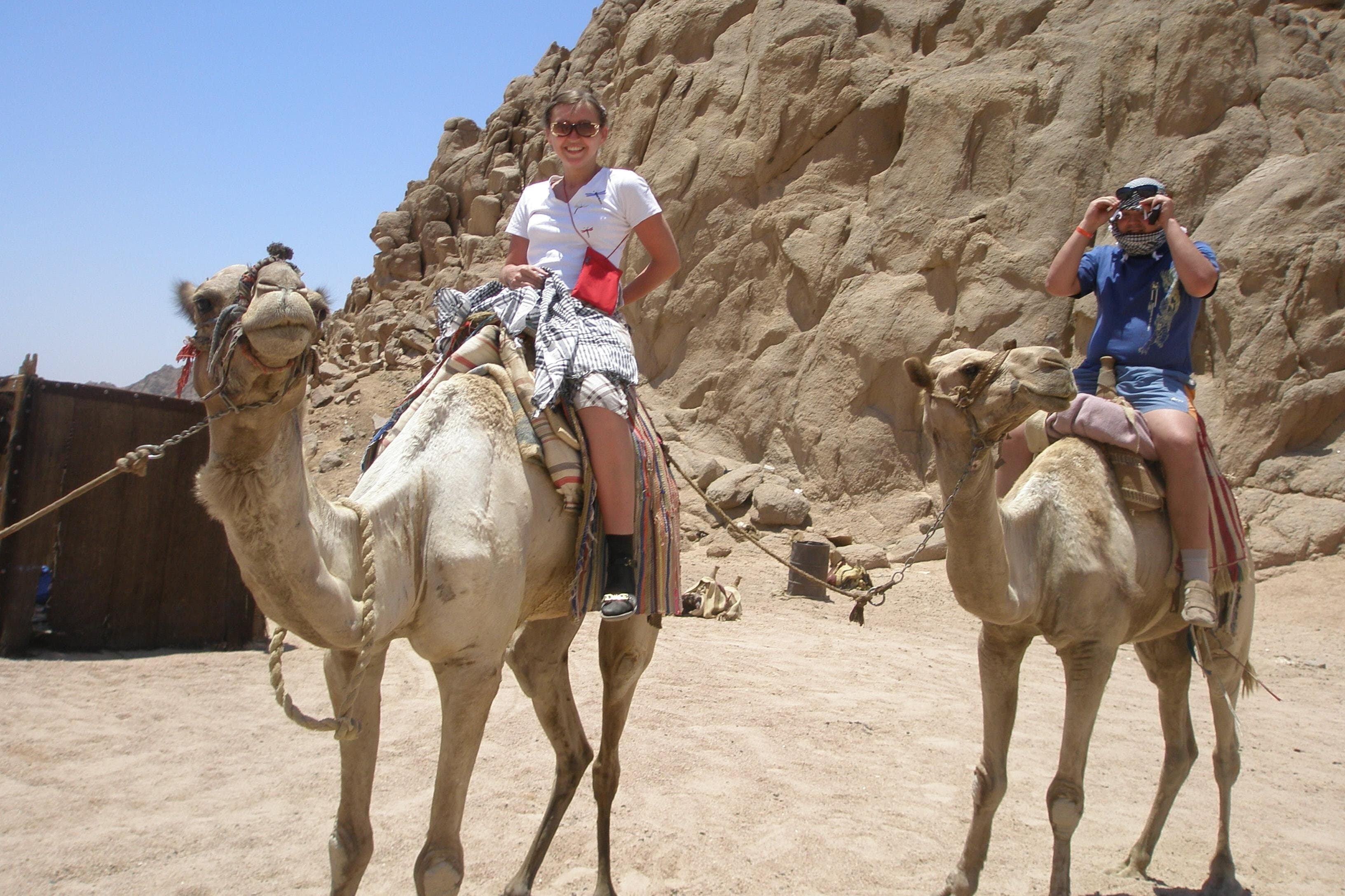 Giro in cammello nel deserto di Sharm elsheikh