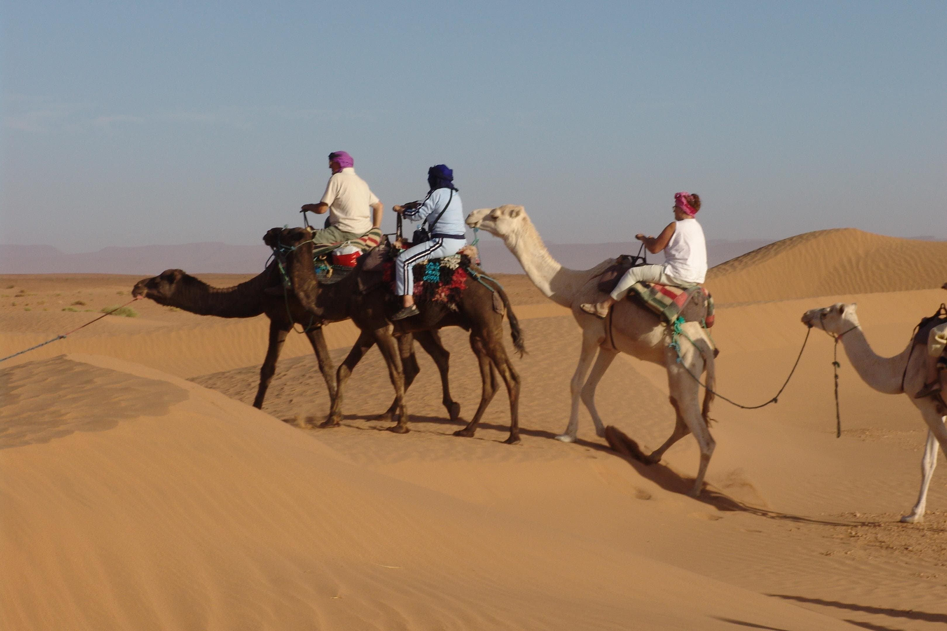 Quad Bike Desert Safari with Camel Ride from Marsa Alam