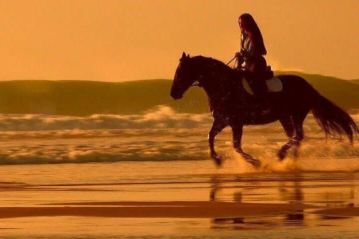 Horse Riding Desert & Beach : Sharm El-Sheikh