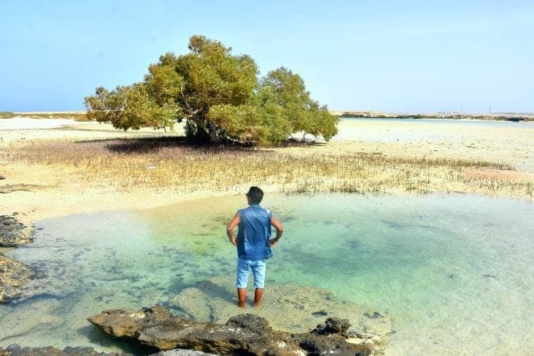 Wady Elgemal National Park Marsa alam