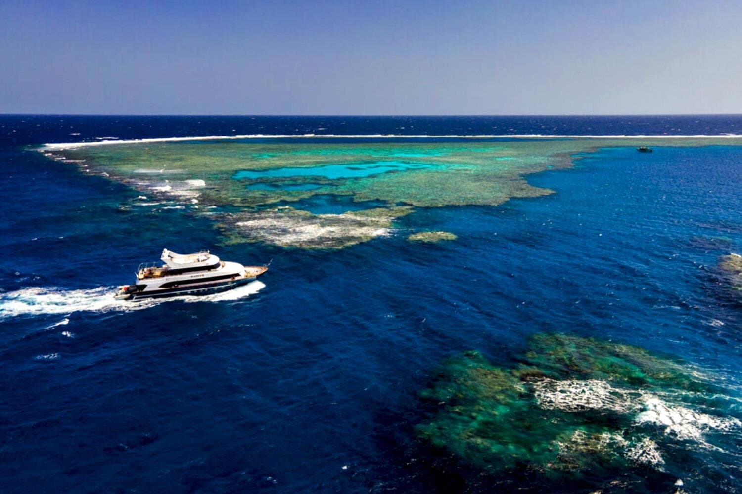 Marsa Alam: Magical Sataya Dolphin Reef Trip with Lunch