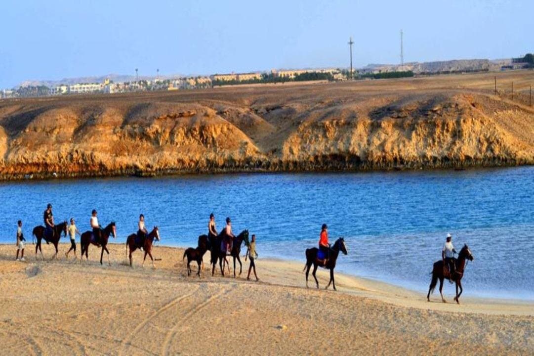 2 Hours Sunrise Horse Riding with Swimming from Marsa Alam