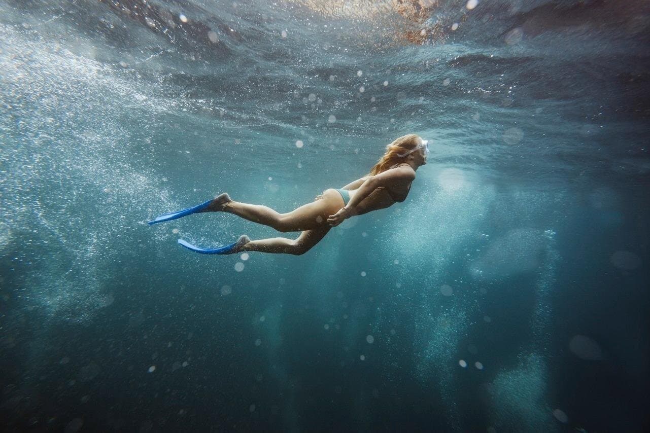 Abu Dabbab Snorkeling Trip, Explore Marine Life : Marsa Alam
