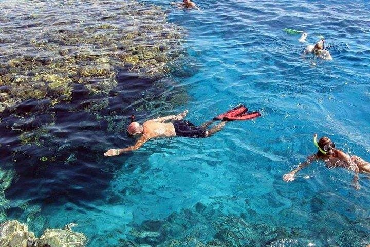 Intera giornata Marsa Mubarak Snorkeling & pranzo & trasferimento : Marsa Alam