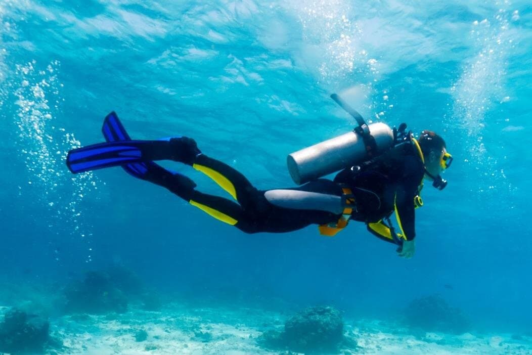 Daily Diving Experience with Lunch - Sharm El Sheikh