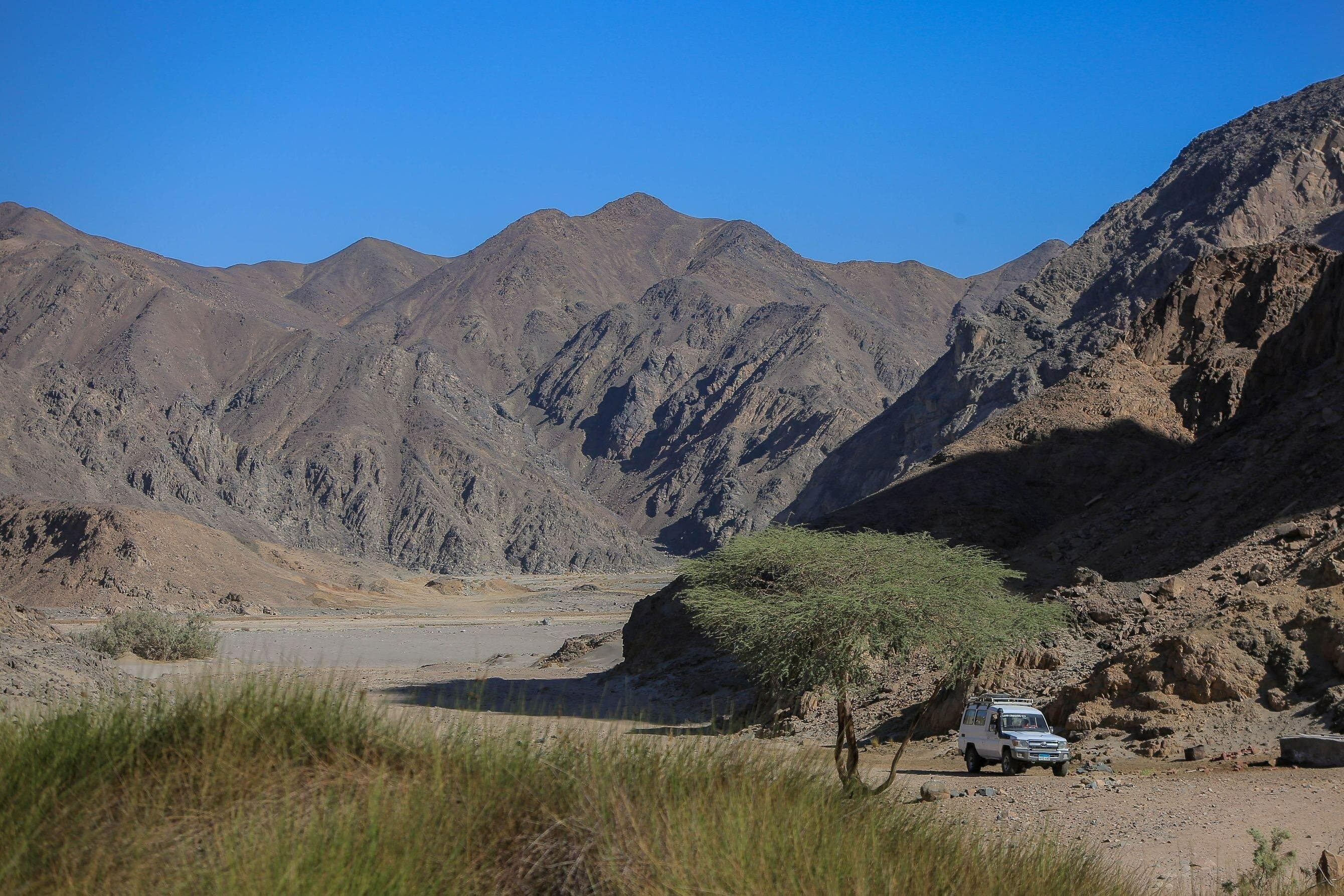 Marsa Alam Half Day Hike: Remote Wadi Naeba Desert Trek