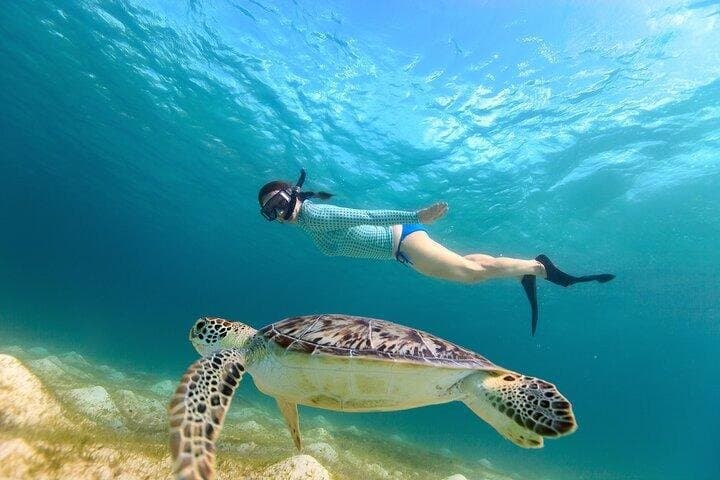 Abu Dabbab Beach Snorkeling Day Trip from Marsa Alam