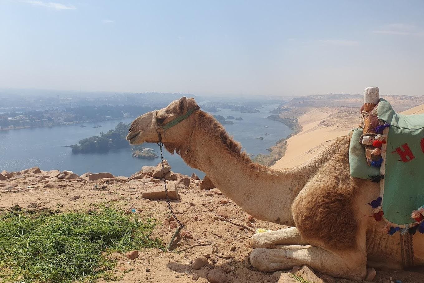 Abu Simbel to Qubbet El Hawa Temples and Noble Tombs Tour