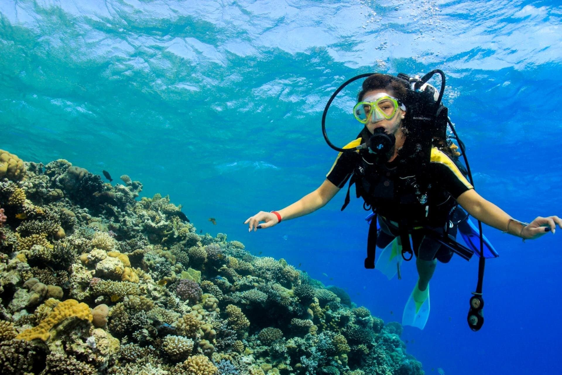 PADI Open Water Diving Course With transfer : Marsa Alam
