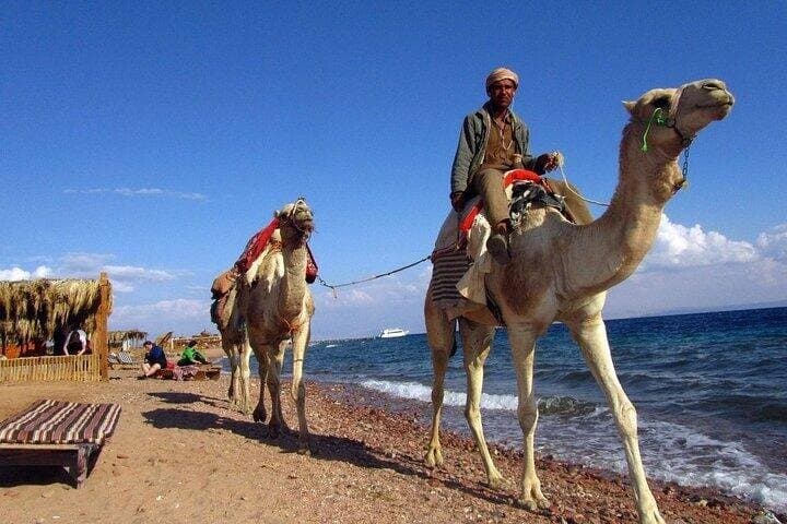3 Pools Dahab Canyon with Lunch and Camel Ride-Sharm El Sheikh