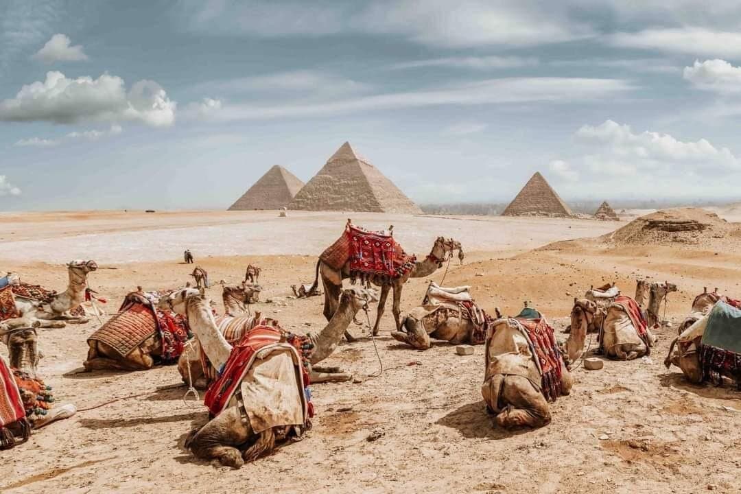 جولة نصف يوم في الهرم