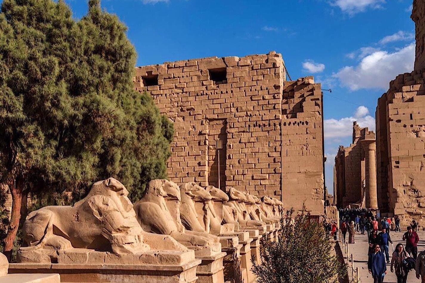 From Cairo: Private Day Tour To Luxor
