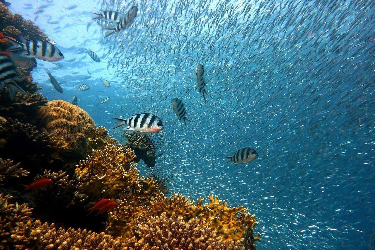 Sharm El Sheikh Jeep Safari to Blue Hole & Dahab Canyon Adventure