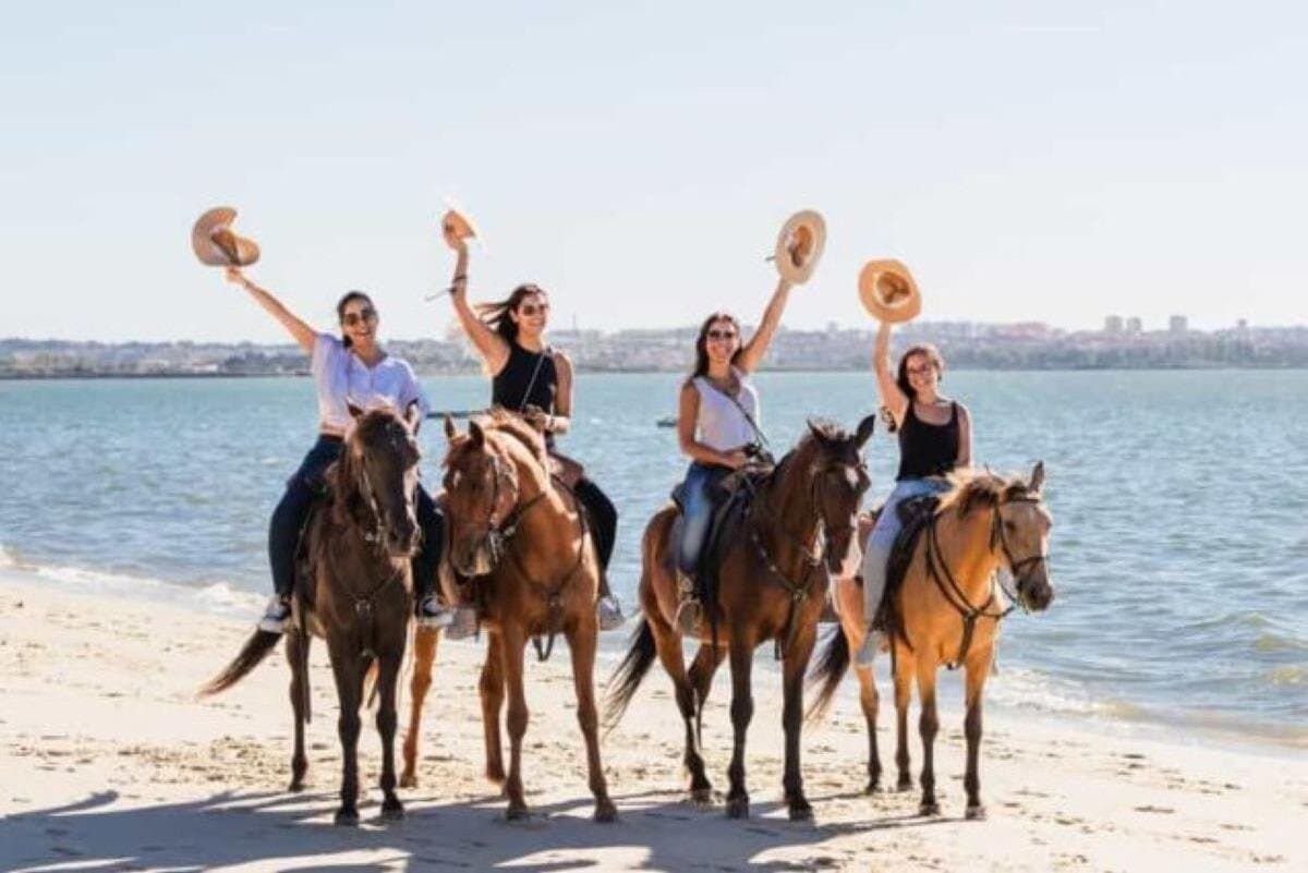 Balade à cheval de 2 heures à la plage de Nabq Bay et transferts–Sharm El Sheikh