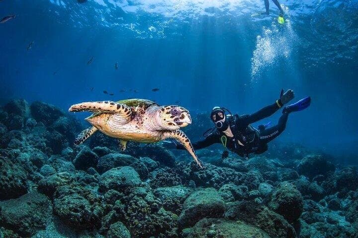 Advanced Open Water Diving Course in the Red Sea –Sharm El Sheikh