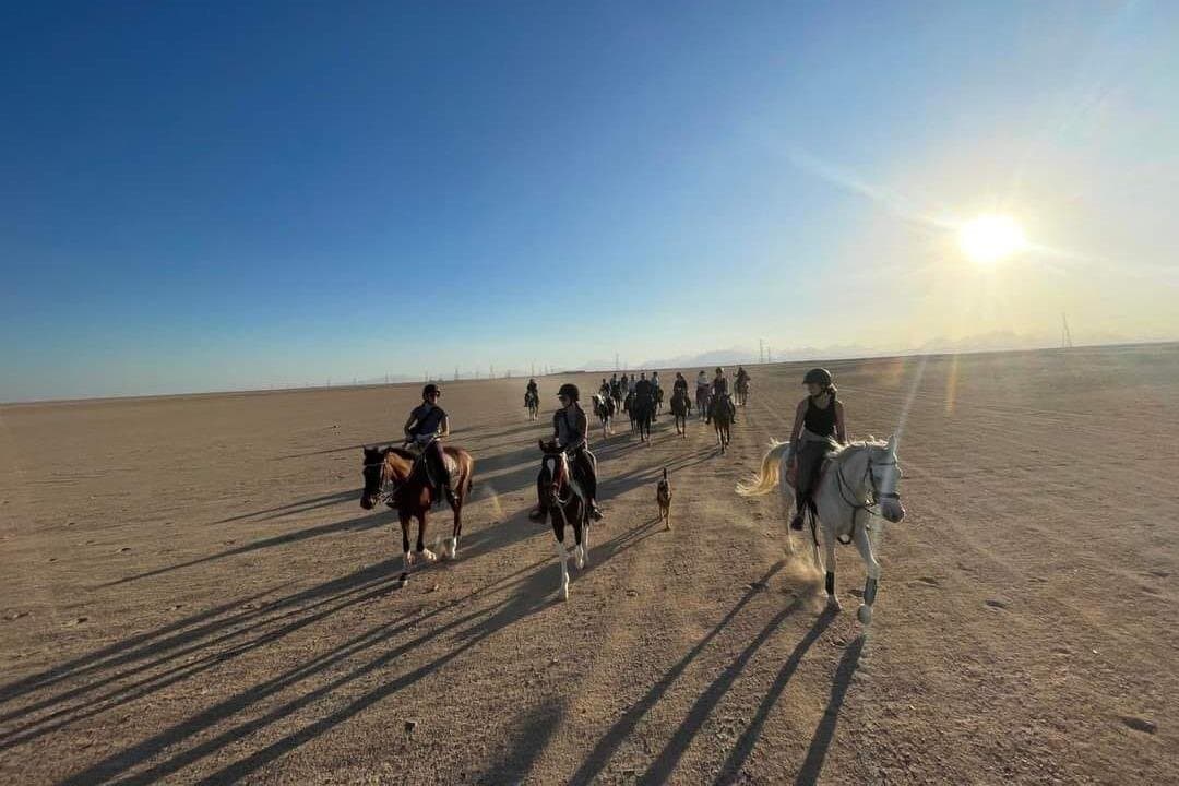 2-Hour Horseback Ride & Turkish Hammam with transfer – Hurghada