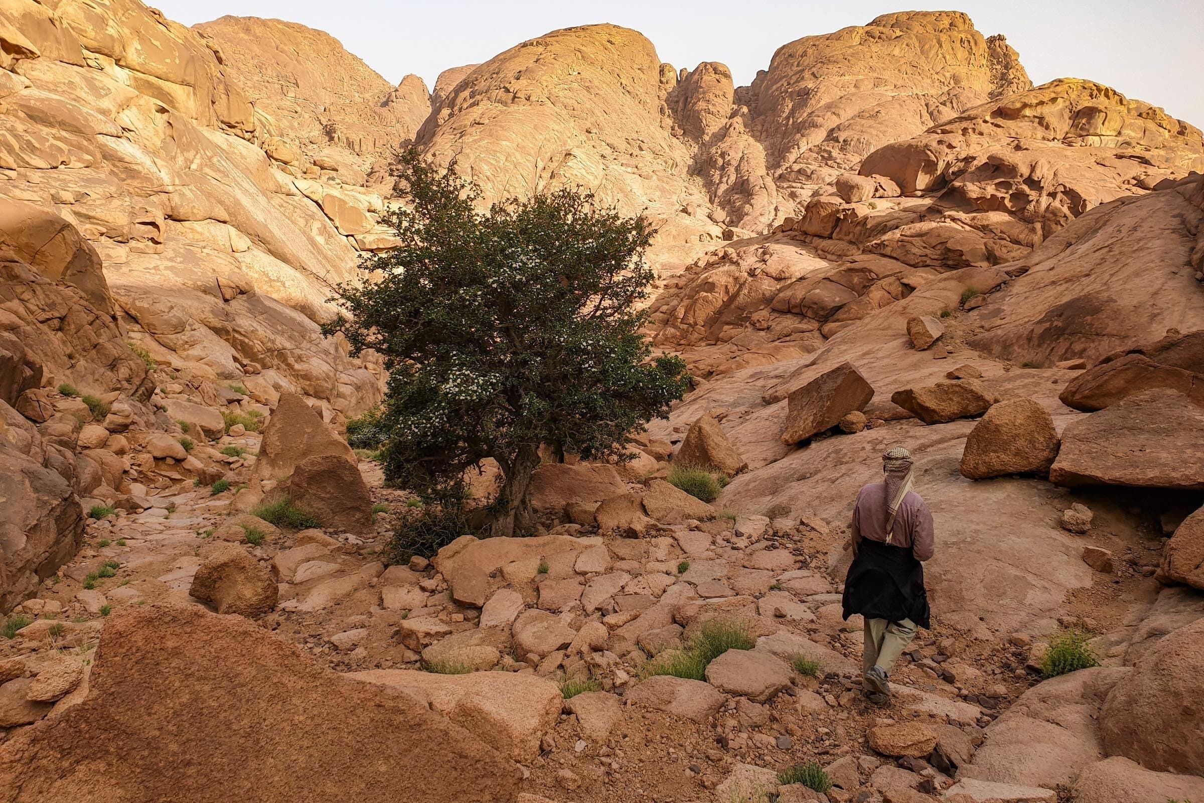 Mount Moses and St Catherine's Monastery